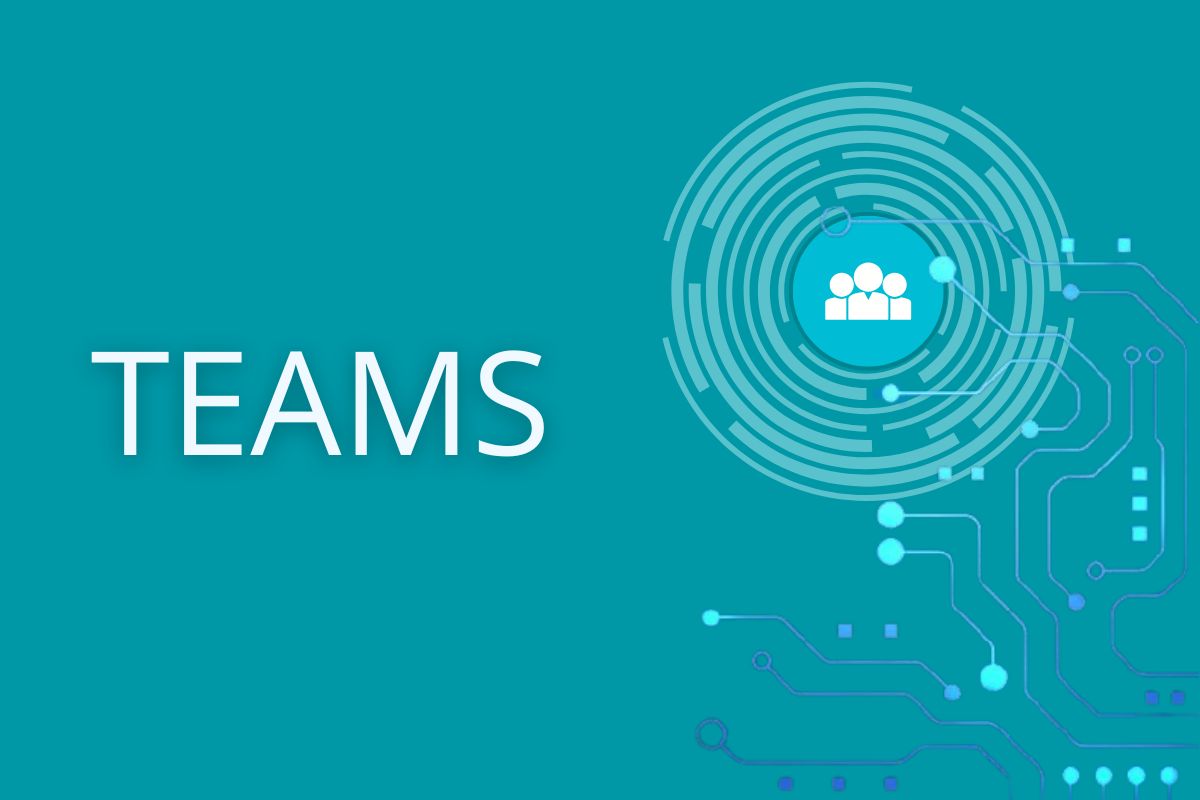 Teams – Easy Access to Metadata2Go Tools