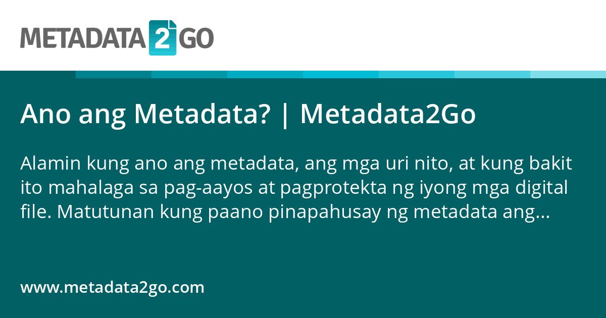 Ano ang Metadata? | Metadata2Go
